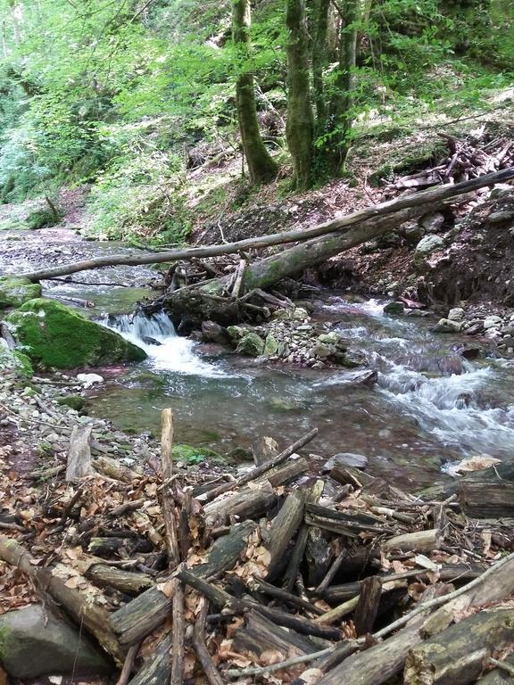 Pensiunea Piatra Graitoare Выртоп Экстерьер фото