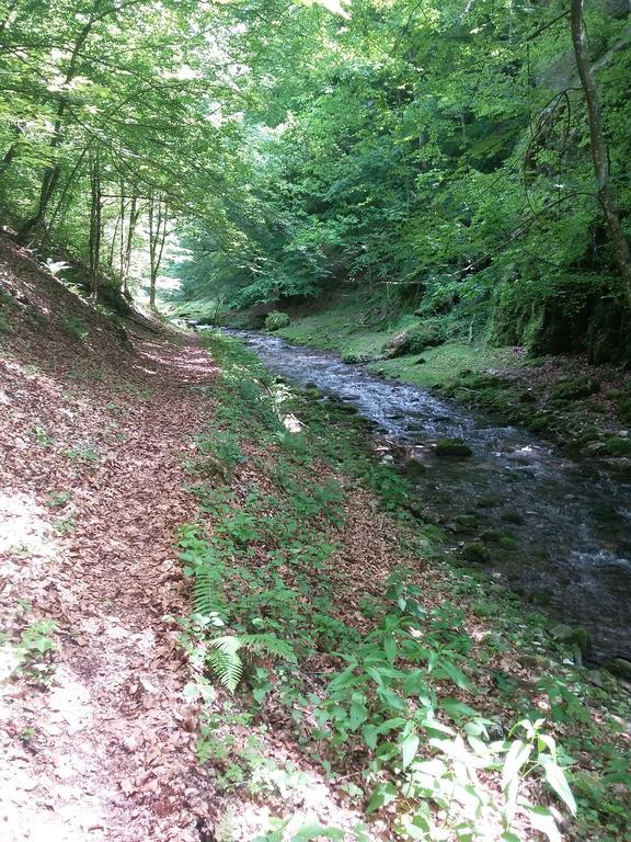 Pensiunea Piatra Graitoare Выртоп Экстерьер фото